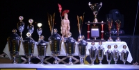 FireFighter-Cup 2015