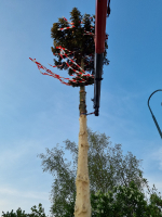 02Maibaum30042022