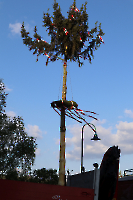 06Maibaumaufstellen30042023